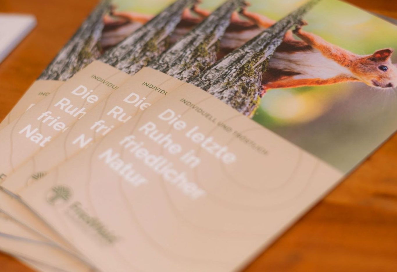 Flyer für Bestattungen in der Natur